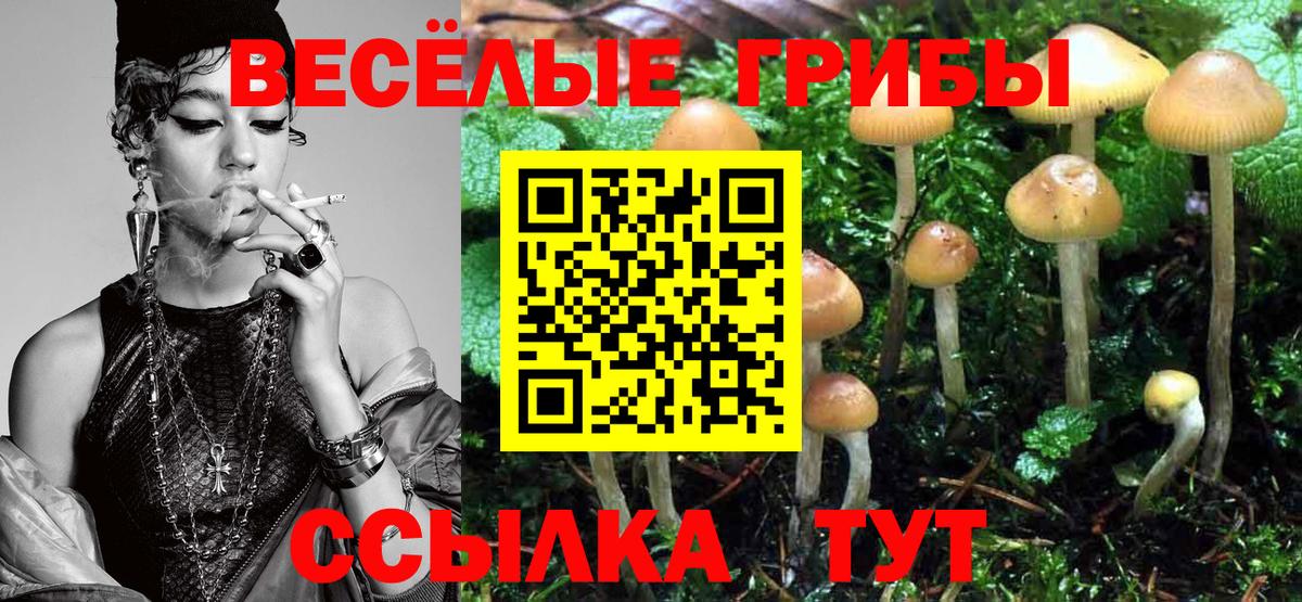 Кандалакша  Псилоцибиновые грибы Psilocybe  дарнет шоп  Вход с VPN 