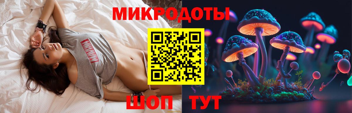 Галлюциногенные грибы прущие грибы Кандалакша